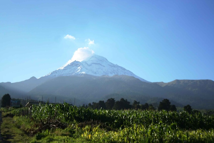 Picture 1 for Activity Mexico City: Guided Volcano Trek with Lunch