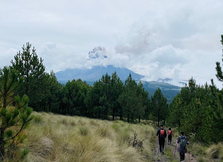 Picture 8 for Activity Mexico City: Guided Volcano Trek with Lunch