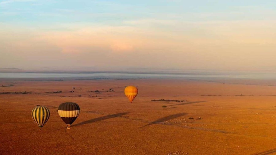 1 Day Masai Mara Game Drive