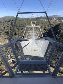 From Aveiro - Paiva Walkways and Suspension Bridge