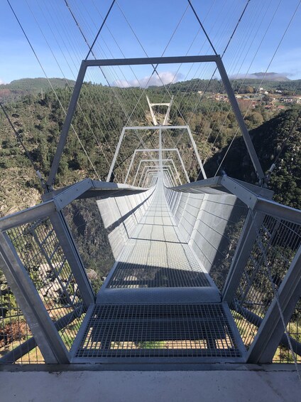 From Aveiro - Paiva Walkways and Suspension Bridge