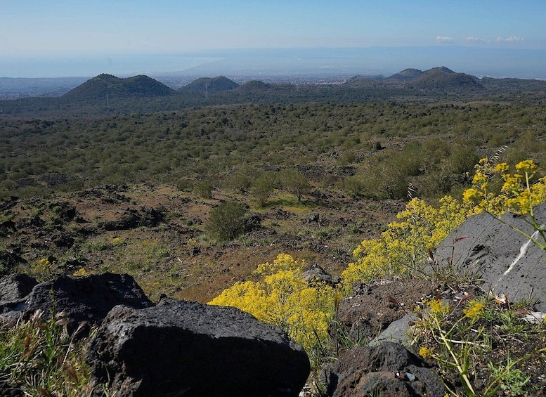 Picture 4 for Activity Mount Etna: Half-day Morning Jeep Tour