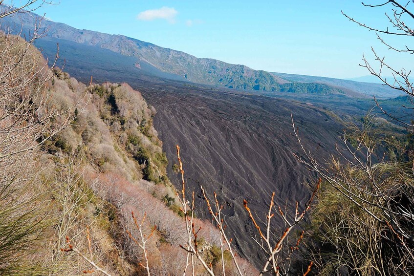 Picture 3 for Activity Mount Etna: Half-day Morning Jeep Tour