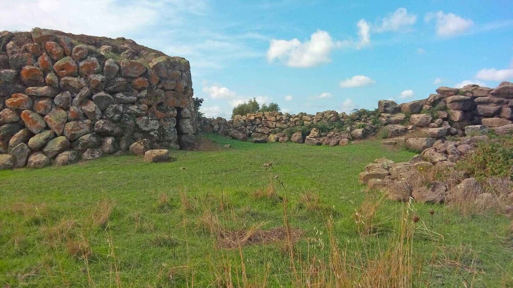 Nuoro: Archaeological tour in Borore with tasting