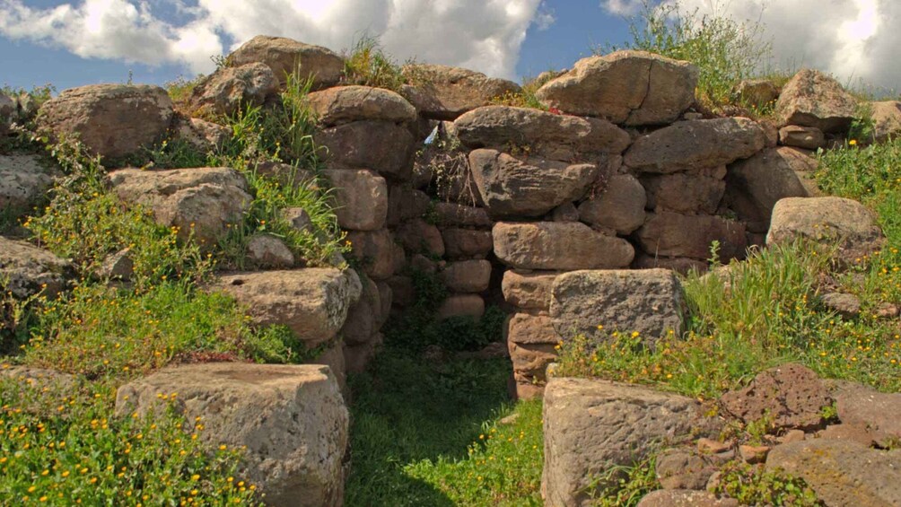 Picture 3 for Activity Nuoro: Archaeological tour in Borore with tasting