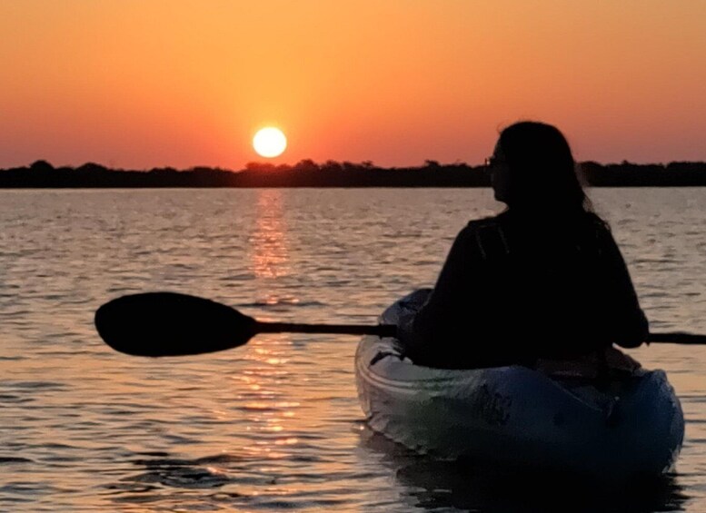 Picture 1 for Activity St. Augustine: Kayaking Sunrise Tour