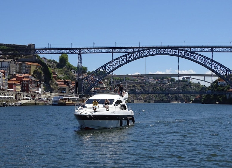Douro River: Party Boat Tour on a Yacht