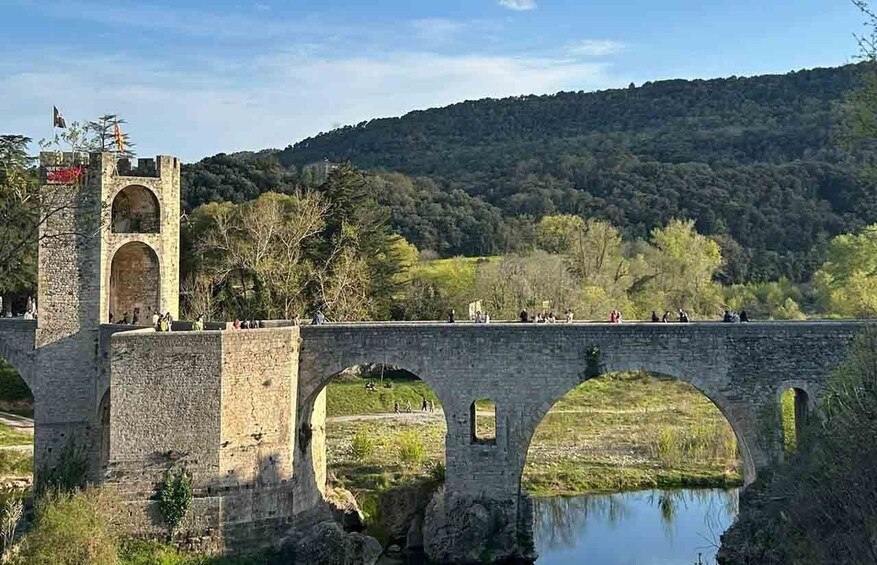 Picture 7 for Activity From Barcelona: Gerona and Besalú Guided Tour