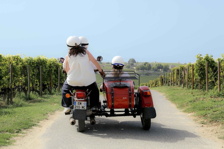 Picture 8 for Activity Private ride in the vineyards from Saint-Emilion