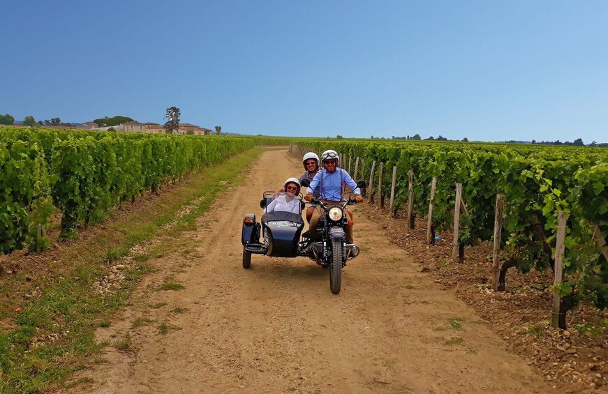 Picture 6 for Activity Private ride in the vineyards from Saint-Emilion