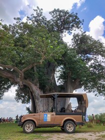 Von Sansibar aus: Selous Game Reserve Tagessafari mit Flügen