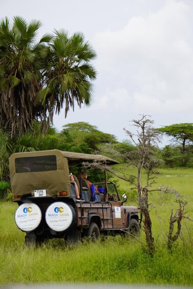 Picture 56 for Activity From Zanzibar: Selous Game Reserve Day Safari with Flights