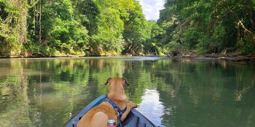 La Fortuna: la mejor experiencia de safari de vida silvestre en kayak