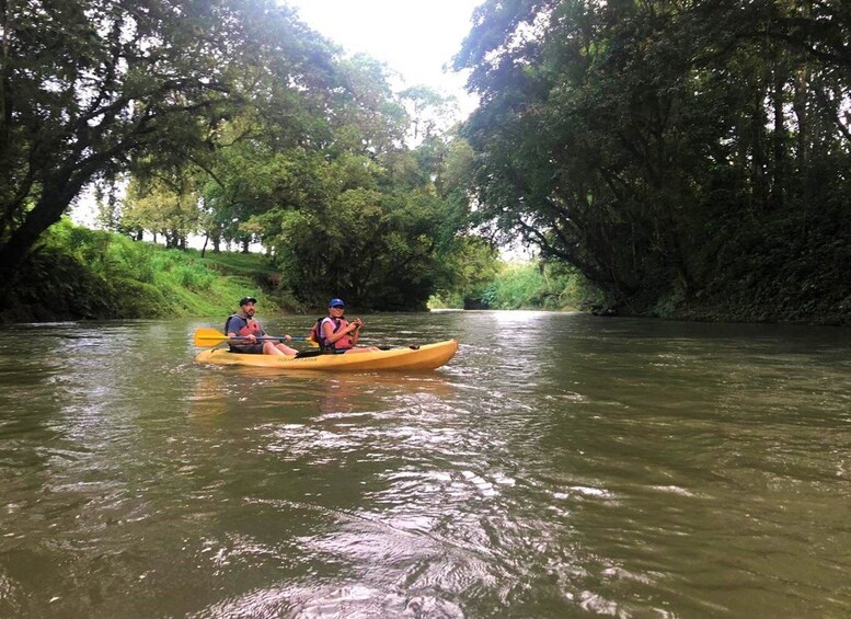 Picture 1 for Activity La Fortuna: *TOP* Wildlife Safari Experience by Kayak