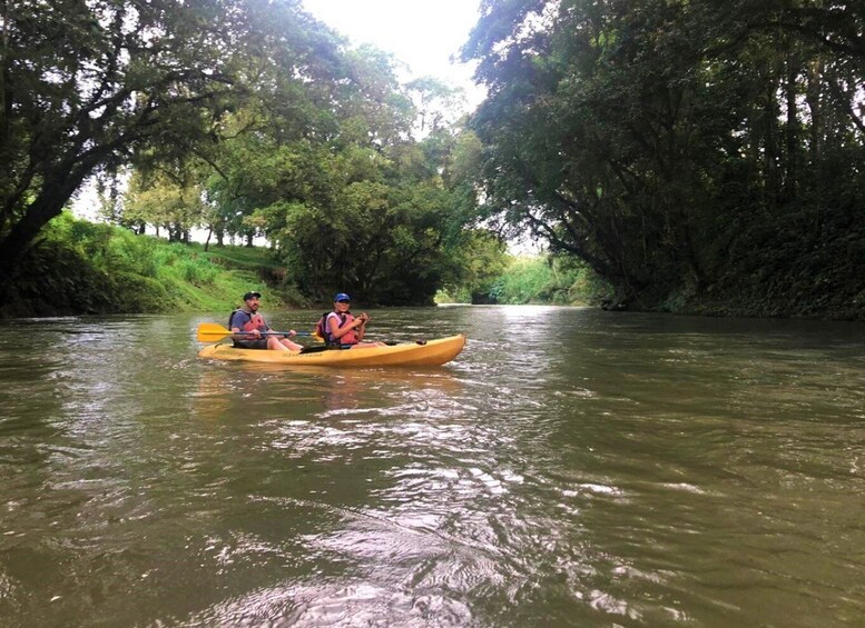 Picture 1 for Activity La Fortuna: *TOP* Wildlife Safari Experience by Kayak