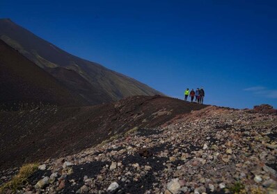 Från Syrakusa: Guidad morgonvandring på Etna och provsmakning av mat