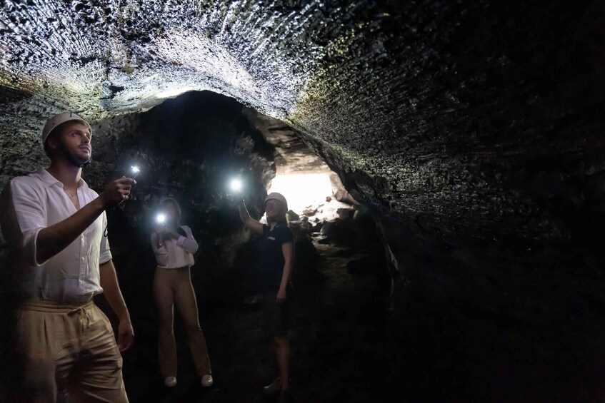 Picture 5 for Activity From Syracuse: Mount Etna Guided Morning Hike & Food Tasting