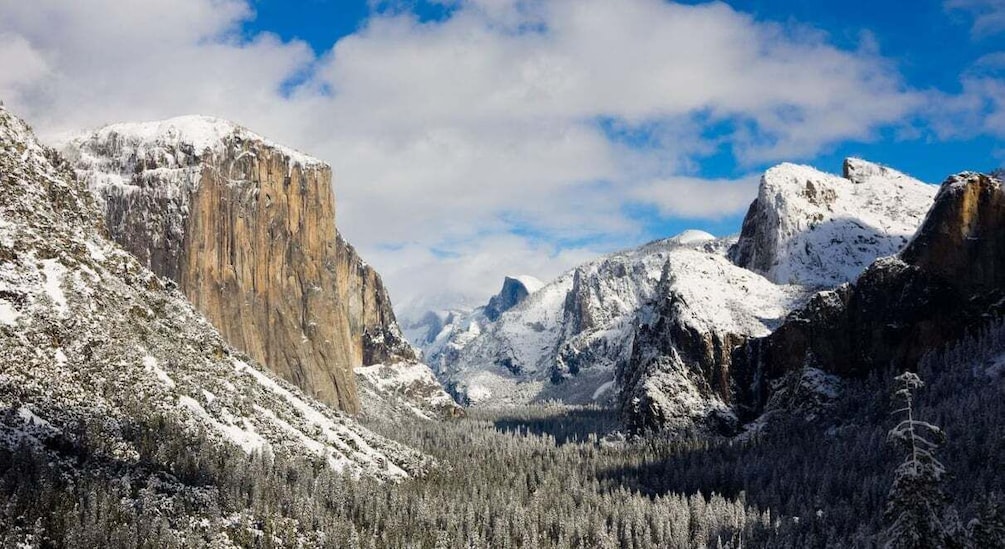 Picture 2 for Activity From SFO-Yosemite National Park-Enchanting Full Day Tour