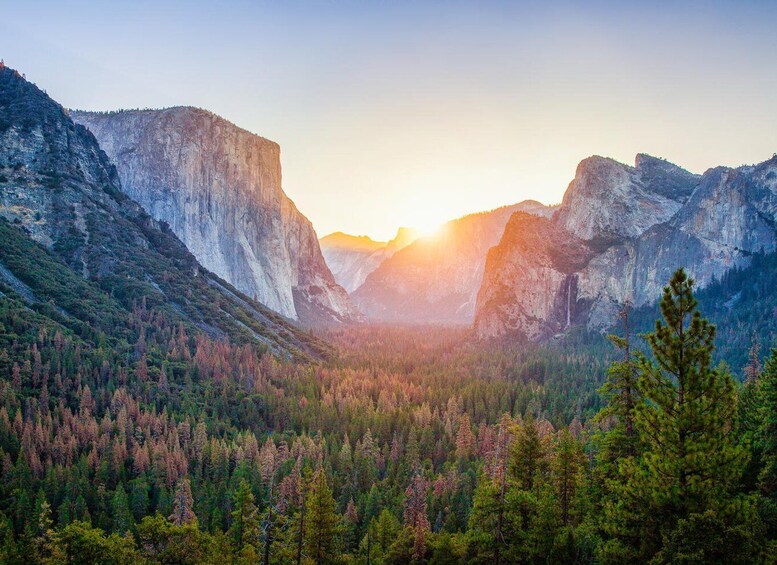 Picture 1 for Activity From SFO-Yosemite National Park-Enchanting Full Day Tour