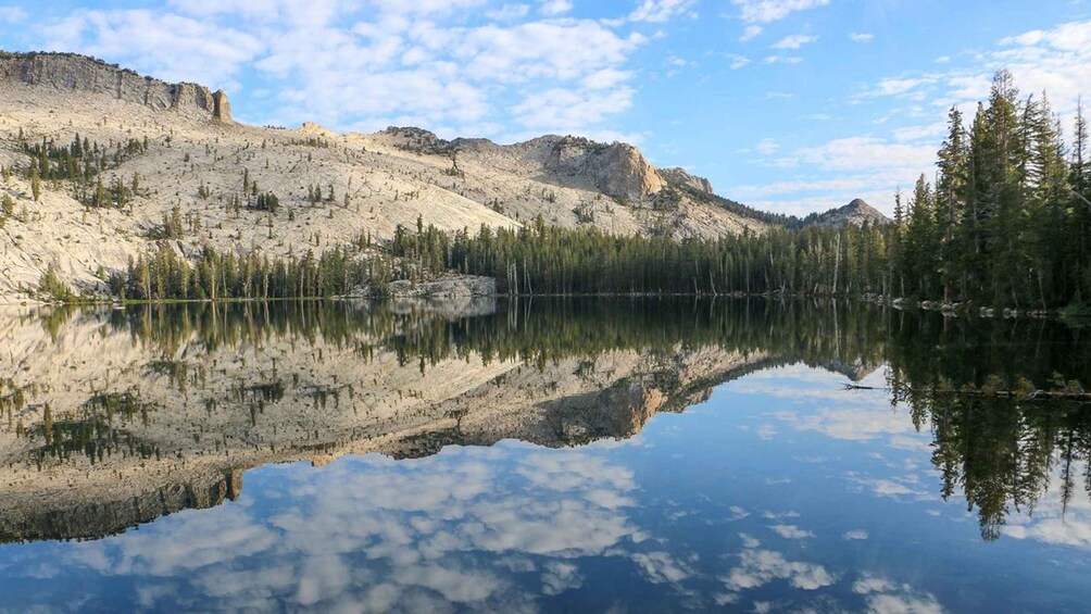 Picture 4 for Activity From SFO-Yosemite National Park-Enchanting Full Day Tour