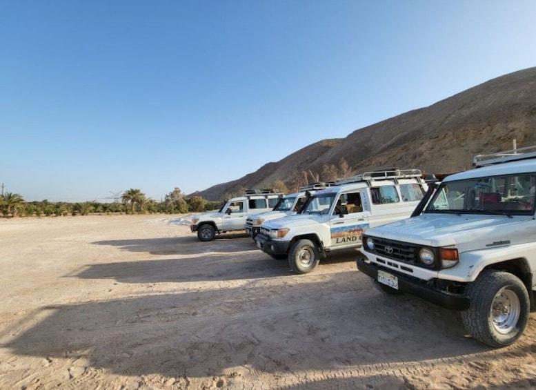Picture 14 for Activity Sahl Hasheesh: Quad, Jeep, Buggy, Camel w/ Dinner & Show