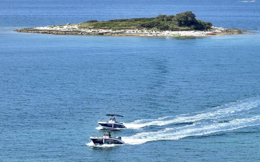 Picture 4 for Activity From Rovinj: Sea caves & sandy Levan island speedboat tour