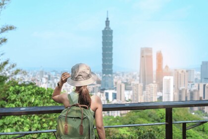 Taipei: City Highlights Private Sightseeing Tour with Guide