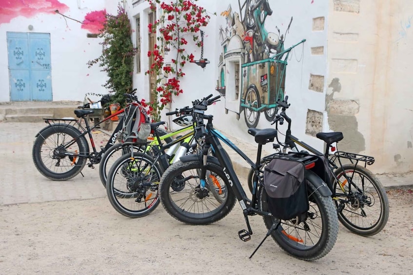 Picture 1 for Activity Djerba: Erriadh Djerbahood E-Bike Tour