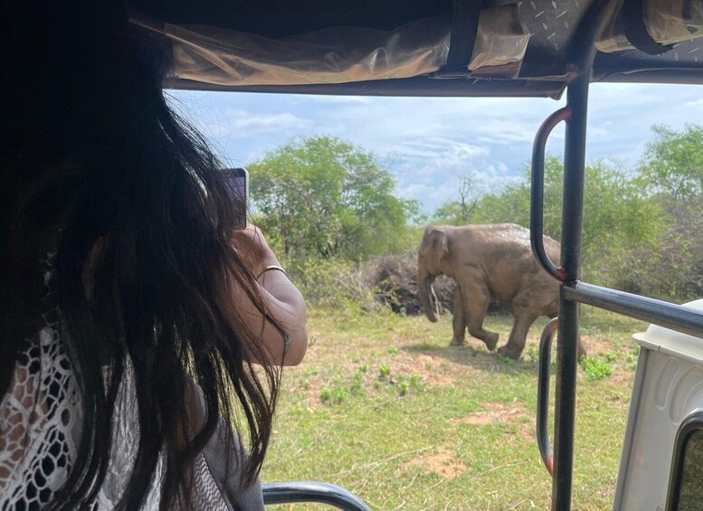 Picture 4 for Activity Udawalawe National Park Wildlife Safari from Galle