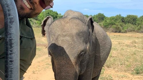 Udawalawe nasjonalpark Wildlife Safari fra Galle