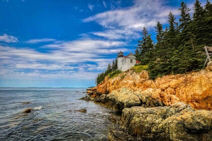 Bar Harbor : Parc national d'Acadie en petit groupe visite guidée