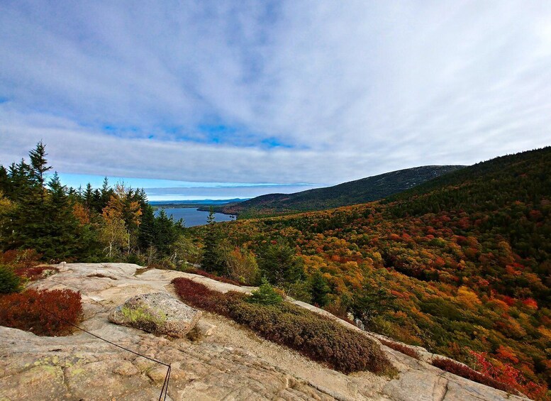 Picture 3 for Activity Bar Harbor: Acadia National Park Small-Group Guided Tour