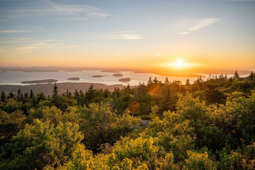 Picture 6 for Activity Bar Harbor: Acadia National Park Small-Group Guided Tour