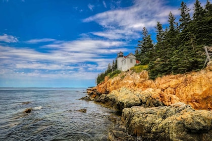 Bar Harbor: Acadia-Nationalpark: Geführte Kleingruppen-Tour