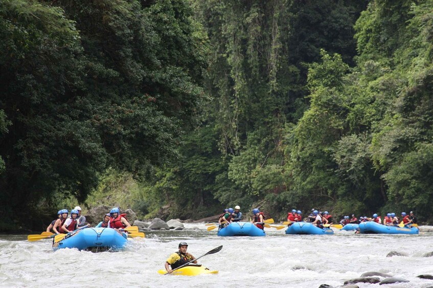 Picture 3 for Activity From San José: Pacuare River White Water Rafting Day Trip