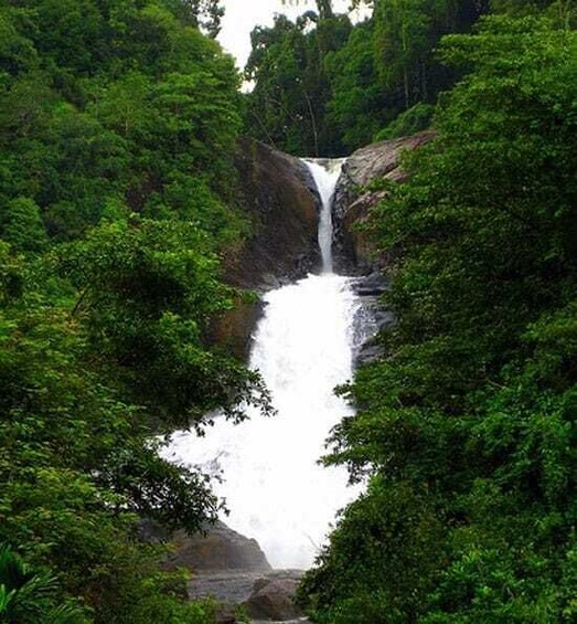 Picture 7 for Activity Adam's Peak: 2-Day Tour from Colombo