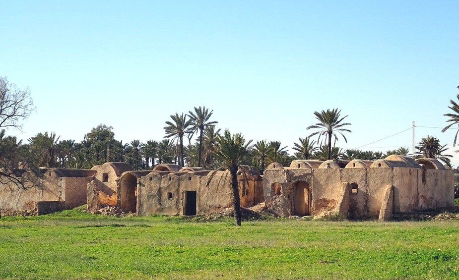Picture 12 for Activity Djerba: Half-Day Island Tour