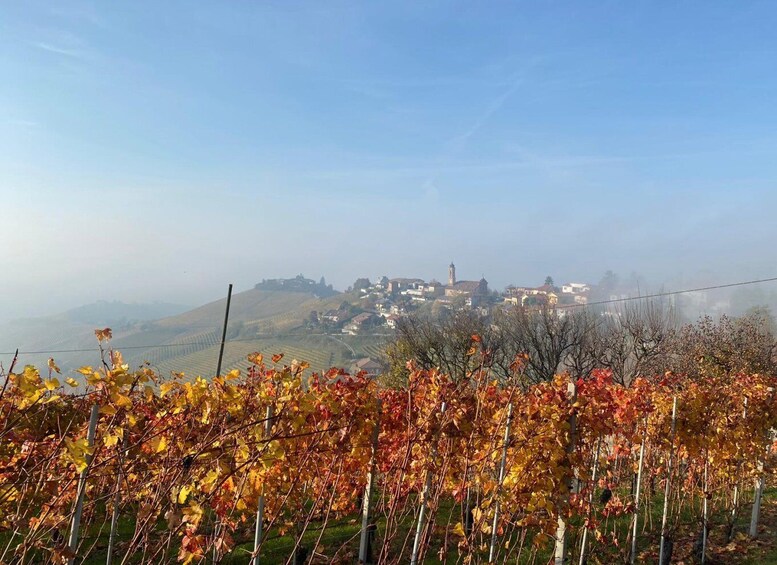 Picture 3 for Activity Escape on the road Delitto a Barbaresco play visit and taste