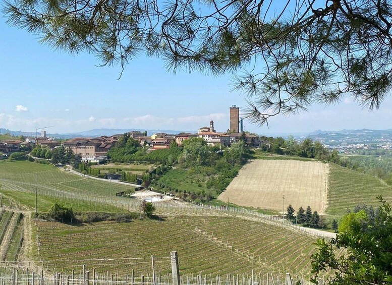 Picture 1 for Activity Escape on the road Delitto a Barbaresco play visit and taste