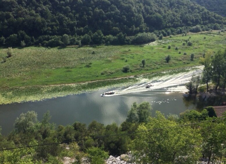 Picture 5 for Activity Skadar Lake: half-day boat tour (from Podgorica)