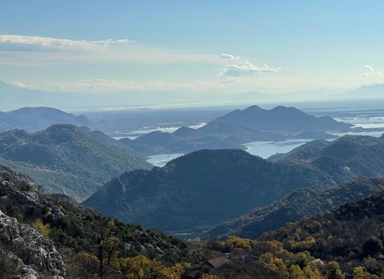 Picture 6 for Activity Skadar Lake: half-day boat tour (from Podgorica)