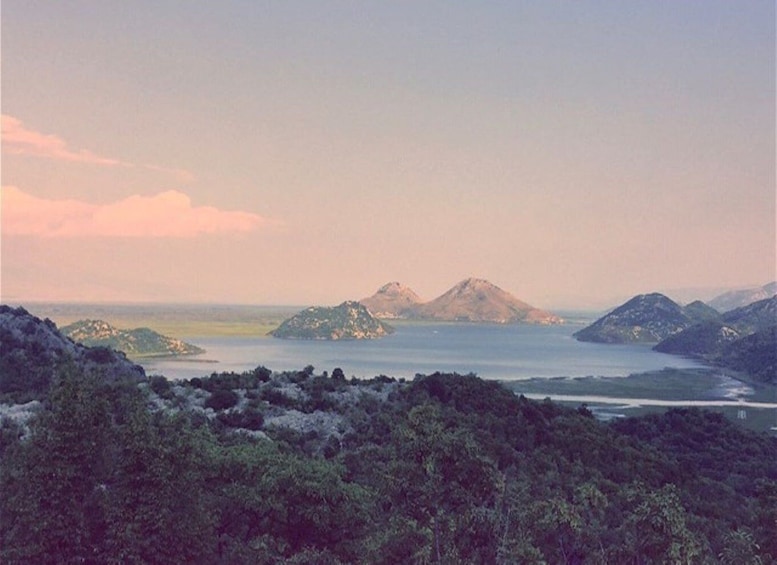 Skadar Lake: half-day boat tour (from Podgorica)