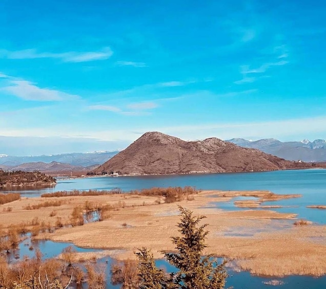 Picture 7 for Activity Skadar Lake: half-day boat tour (from Podgorica)