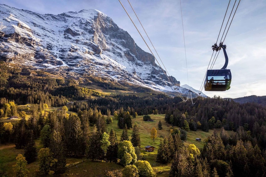Picture 3 for Activity From Grindelwald: Jungfraujoch Round-Trip Railway Ticket