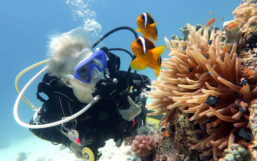 Picture 1 for Activity Fujairah: Discover Scuba Diving for Beginners