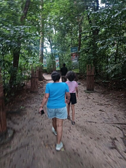 Picture 16 for Activity Mangrove discovery tour or fireflies tour