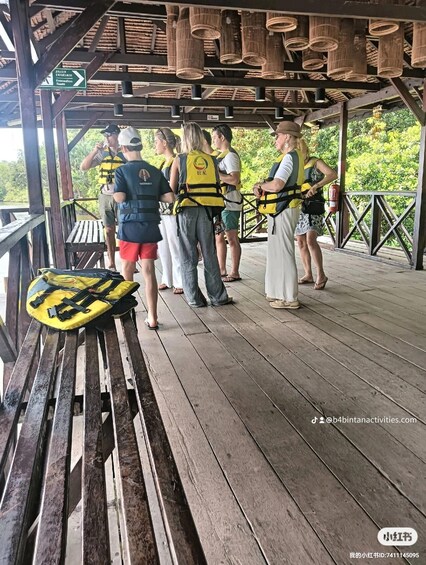 Mangrove discovery tour or fireflies tour