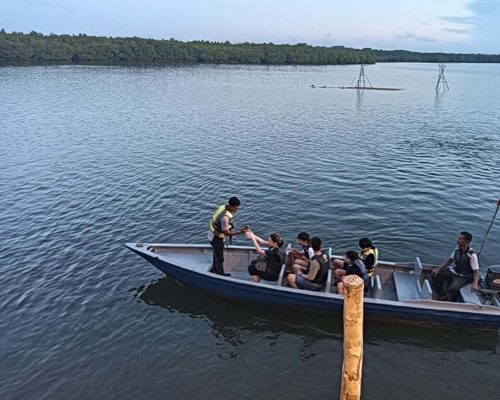 Picture 6 for Activity Mangrove discovery tour or fireflies tour