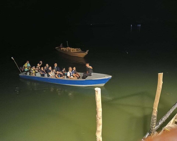 Picture 4 for Activity Mangrove discovery tour or fireflies tour