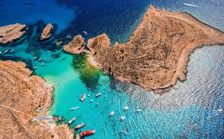 Sliema: Fernandes Gozo- og Comino-krydstogt med frokost og drinks